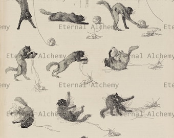 Steinlen's Cat Illustrations - 25 High Resolution Vintage Digital Images - Instant Download