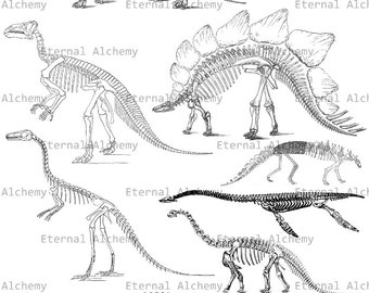 Dinosaur Skeleton Collage Sheet - Vintage Digital Image - Instant Download