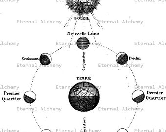 Phases of the Moon - French - Vintage Digital Image - Instant Download