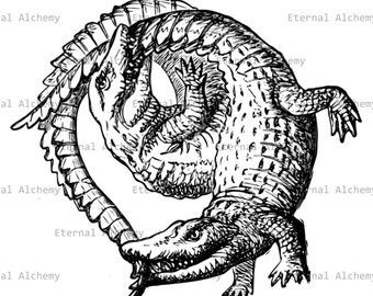 Crocodile Ouroboros - Vintage Digital Image - Instant Download