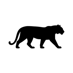 May include: A solid black silhouette of a tiger in a walking pose, shown in profile facing to the right. The graphic features the distinct outline of the large cat, including its long tail, four legs, and pointed ears, rendered in a flat, bold style.