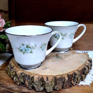 Two vintage IMPERFECT Noritake Spring Valley pattern teacups vintage tea party replacement China 2 pieces total