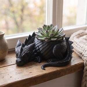 May include: A matte black dragon-shaped planter featuring a detailed scaly texture, a curved tail, and a resting head. The central body of the dragon serves as a container holding a single green succulent plant with pointed leaves.