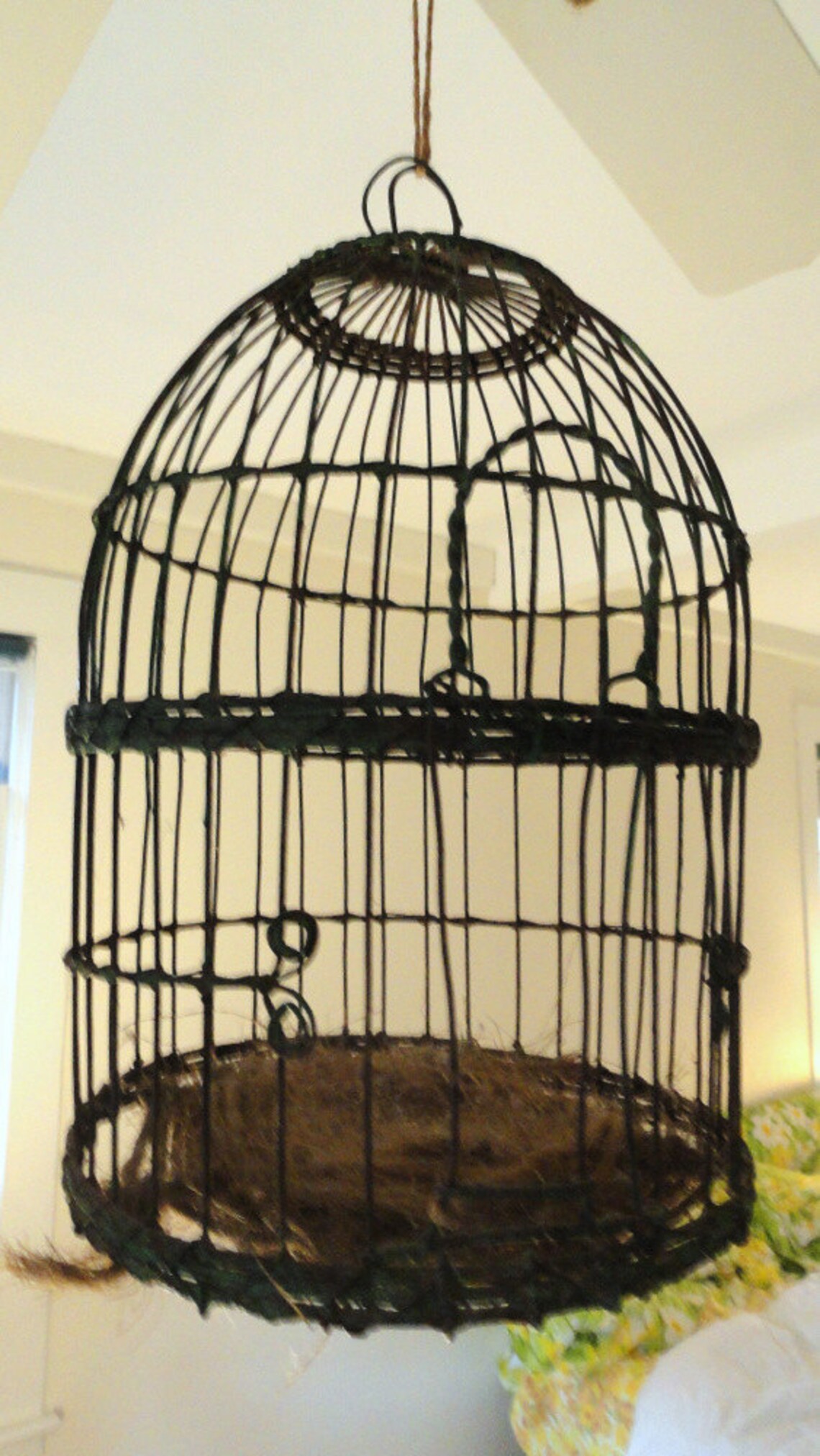 Painted Wire Bird Cage Etsy