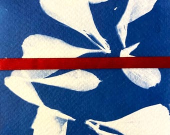 Cyanotype Postcard - Surprise Bundle (4)