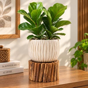 May include: A fiddle leaf fig plant with large, glossy green leaves potted in a round, off-white ceramic planter featuring a vertical wavy texture. The planter rests on a cylindrical stand constructed from numerous vertical wooden sticks.