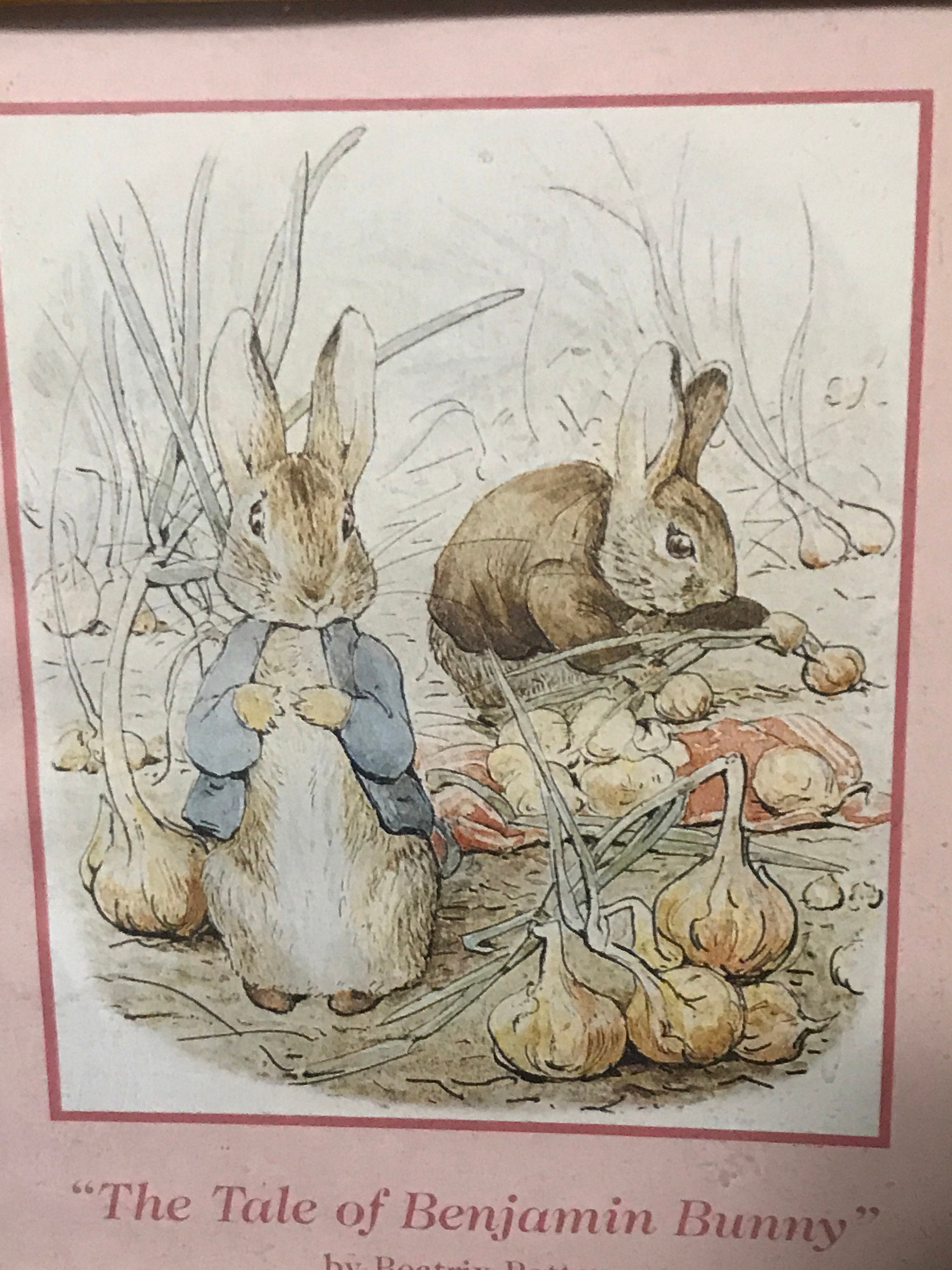Vintage Peter Rabbit Framed Prints The Tale if Peter Etsy