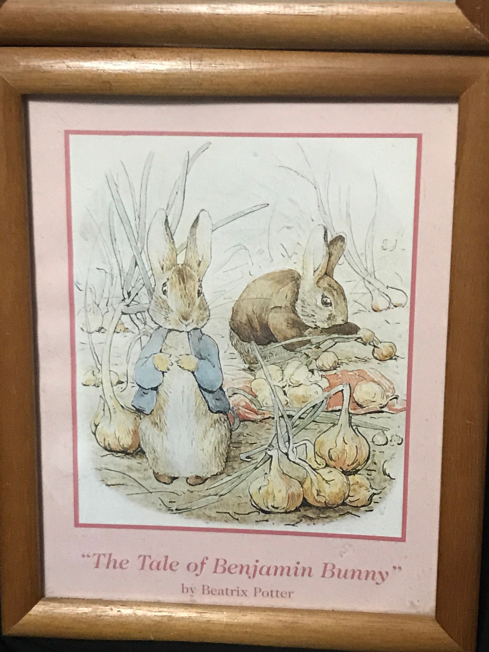 Vintage Peter Rabbit Framed Prints The Tale if Peter Etsy