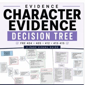 Character Evidence Flowchart for Law Students