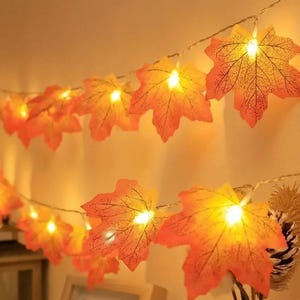 May include: A string of decorative lights featuring artificial maple leaves in shades of orange, yellow, and red. Each leaf is illuminated from behind by a small warm white LED light, creating a glowing effect along the thin wire strand.