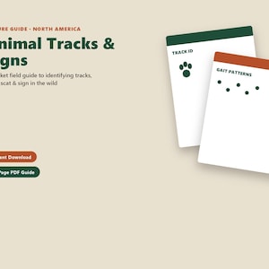 Printbare veldgids voor dierensporen, identificatie van wilde dieren in Noord-Amerika (PDF), digitale download voor natuurwandelingen en thuisonderwijs afbeelding 1
