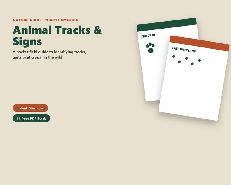 Printbare veldgids voor dierensporen, identificatie van wilde dieren in Noord-Amerika (PDF), digitale download voor natuurwandelingen en thuisonderwijs afbeelding 1