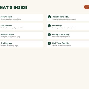Printbare veldgids voor dierensporen, identificatie van wilde dieren in Noord-Amerika (PDF), digitale download voor natuurwandelingen en thuisonderwijs afbeelding 2