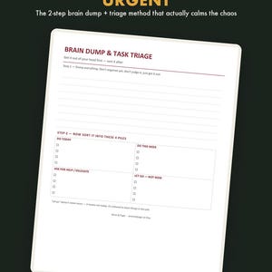 May include: A digital task management worksheet titled Brain Dump & Task Triage. The document features a section for listing tasks, followed by a 4-pile sorting grid labeled Do Today, Do This Week, Ask For Help/Delegate, and Let Go - Not Now.