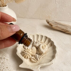 May include: A small amber glass dropper bottle held over a white, scalloped shell-shaped dish containing several miniature, off-white decorative sea shells and a spiky sea urchin replica, all featuring a smooth, marble-like finish.