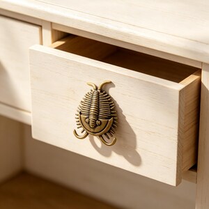 May include: A light-colored wooden drawer featuring a metallic, antique brass-toned trilobite-shaped handle. The drawer is partially pulled open, revealing the interior wood grain and the detailed, segmented structure of the fossil-inspired pull.