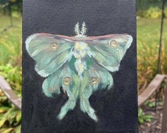 Luna Moth 5x7 Original Acrylic Painting, Canvas Wall Art
