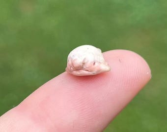 World’s Smallest Blobfish, Tiny Handmade Trinket
