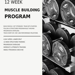 12-tygodniowy program treningowy na budowę mięśni | 4-dniowy podział na górne i dolne partie mięśni