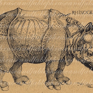 Rhinoceros 054 Wildlife Animal Strength Ionesco Tough Digital Graphic Transfer Image Download Rhino