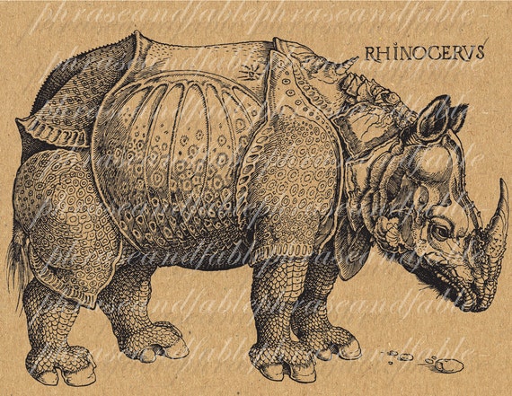 Rinoceronte 054 fauna Animal fuerza Ionesco transferencia - Etsy España