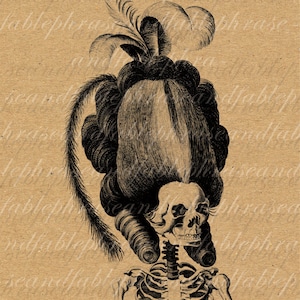 Beautiful Skeleton 047 Digital Image Transfer Clip Art Print Your Own Morbid Macabre Death Hair Updo Feather Skeleton Skull Ribs Dead