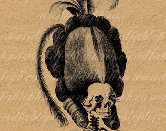 Beautiful Skeleton 047 Digital Image Transfer Clip Art Print Your Own Morbid Macabre Death Hair Updo Feather Skeleton Skull Ribs Dead