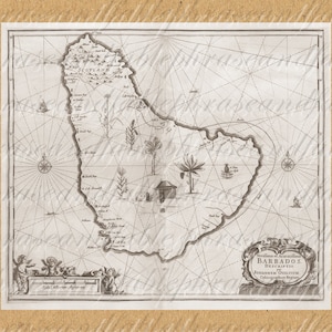 May include: A vintage map of Barbados, depicting the island's coastline, rivers, and towns. The map is titled "Insvlae Barbados Descriptio" and is attributed to "Ioannem Ollivete Cosmographum Regium".