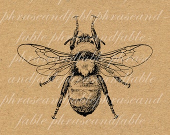 Pretty Bee 366 Digital Image Download Insect Wildlife Honey Transfer Clip Art Digital