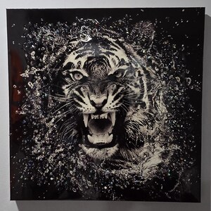Puede incluir: Una pieza de arte mural cuadrada que presenta un retrato en blanco y negro de alto contraste de un tigre rugiendo. El tigre está rodeado por un borde texturizado y brillante de cristales incrustados o fragmentos de vidrio que crean un efecto dinámico.
