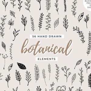 Hand Drawn Botanical Elements - Leaves, Handdrawn, Leaf Clipart, Leaf Clip Art, Nature, Branches, Floral, Tree, Flowers, Instant Download
