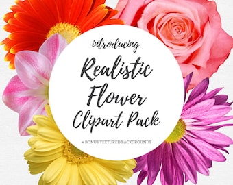 Realistic Flowers Clip Art - Plus Bonus Textured Backgrounds - Rose Daisy Gerbera Pink Wedding - Commercial & Personal - Instant Download