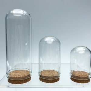 May include: Three clear glass cloche domes of varying sizes, each with a cork base. The tallest is cylindrical, while the other two are rounded. They are displayed on a clear, elevated surface against a white background.