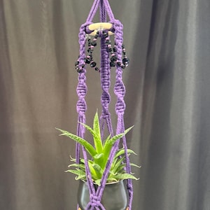 May include: A purple macrame plant hanger featuring knotted cord, a wooden base, and a black pot containing a green succulent. The hanger includes black and purple beaded accents near the top and is suspended by a black metal carabiner clip.