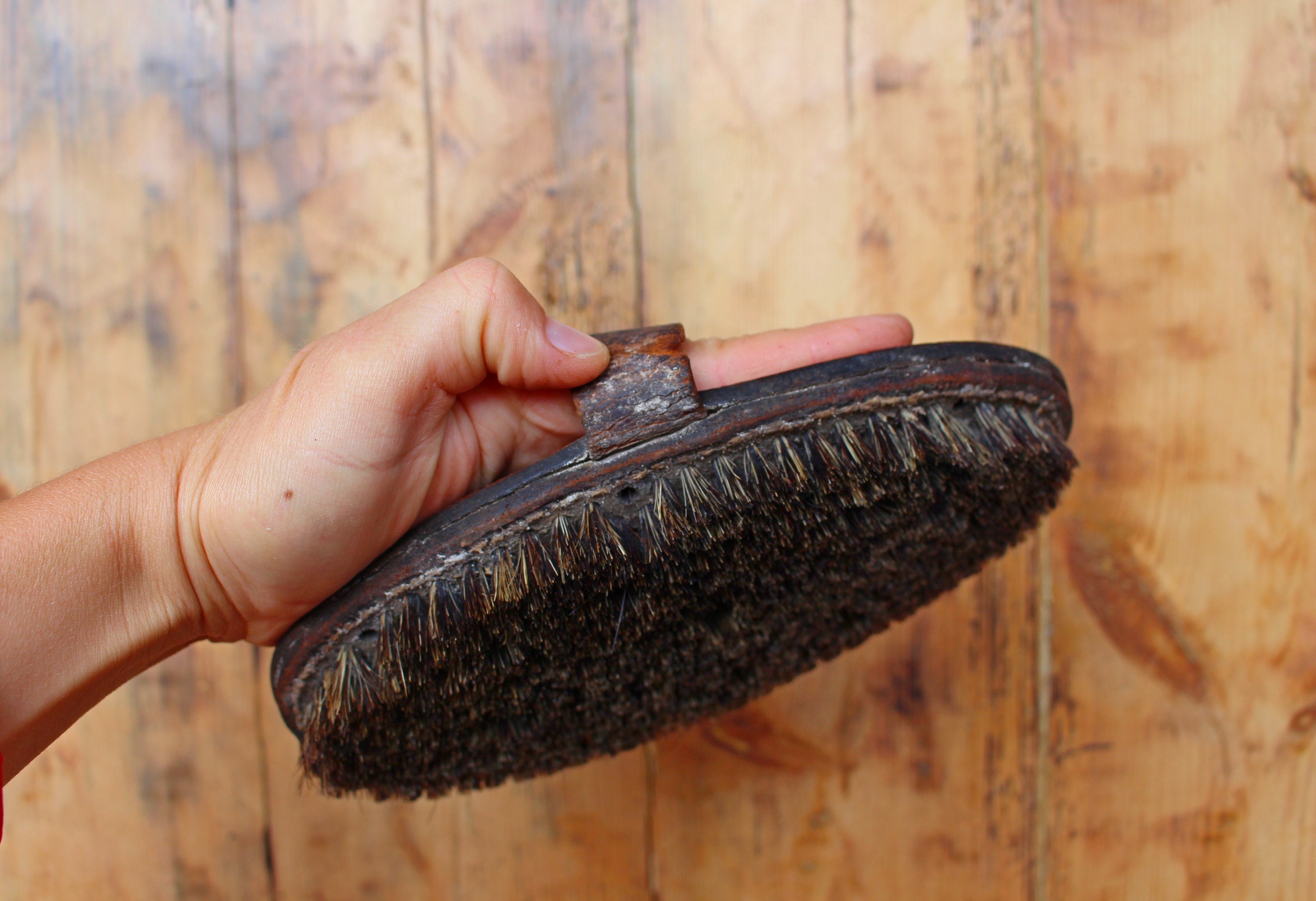 Antique animal brush HANDMADE Horse brush Curry brush Horse Etsy