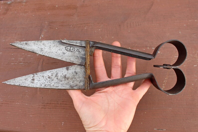 Antique Hand sheep shears Combination Sheffield England 1950s Etsy