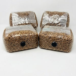 May include: Four rectangular clear plastic bags filled with brown grain, arranged in a two-by-two grid. Each bag features a small, circular black filter patch on the front side, allowing for airflow while maintaining a sealed environment for the contents.