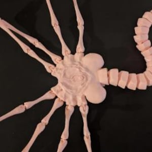 Alien-inspirerad Facehugger (i naturlig storlek och poserbar, målningsbar) 3D-utskriven