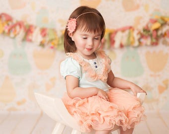 Birds and Bunnies -  Vinyl Photography  Backdrop Photo Prop