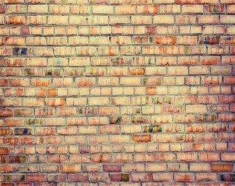 Autumn Brick - Exclusive - Vinyl Photography Backdrop Floordrop Prop