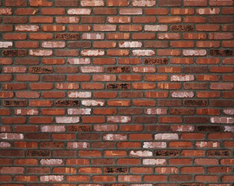 Rich Brick - Exclusive - Vinyl Photography Backdrop Floordrop Prop