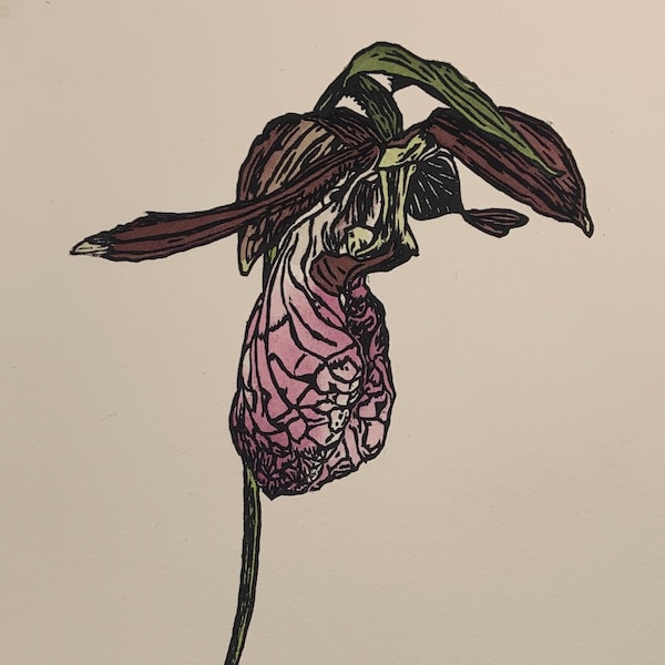 Pink Lady's Slipper Woodcut, limited edition, handbeschilderd