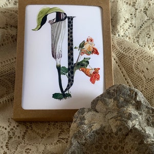 Può includere: Un cartoncino marrone con sfondo bianco che presenta un'illustrazione botanica di un fiore bianco con uno stelo verde e una lettera nera "J" con un motivo bianco e nero. Il fiore è circondato da fiori arancioni e rossi.
