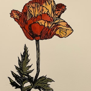 Poppy Woodcut edición limitada, impresión coloreada a mano