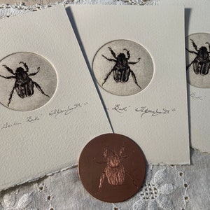 Garden Beetle - limited edition Intaglio Print, hand-engraved