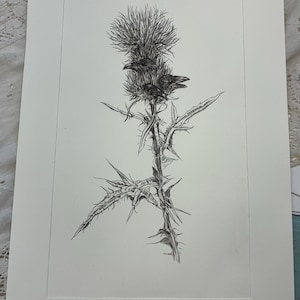 May include: Black and white botanical print of a thistle plant with two birds perched on top. The artwork is titled "Magic Thistle" and is signed and dated. The print is on a white background.