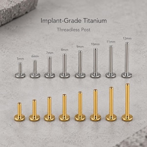 May include: Implant-Grade Titanium Threadless Post. Two rows of metal body jewelry posts in silver and gold tones, arranged by length from 5mm to 12mm. Each post features a flat circular base and a straight cylindrical shaft for piercings.