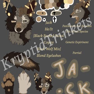 Puede incluir: Una hoja de referencia digital para un personaje llamado Jack, con dos cabezas, una cola y almohadillas. El diseño incluye pelaje marrón, negro y beige, pestañas rubias y marcas en forma de cruz en los ojos. El texto incluye Jack, He/It, Black Backed Jackal, Coyote, Black Wolf Mix, Blond Eyelashes, Patchwork Fur Between His Mixed Species, Genetic Expiriment, Partial y una paleta de colores.