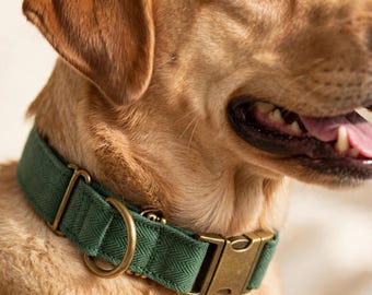 Könnte beinhalten: Ein Hundehalsband aus dunkelgrünem Stoff mit Fischgrätenmuster, ausgestattet mit antik messingfarbenen Metallbeschlägen, darunter ein D-Ring und eine seitliche Steckschließe. Der Text "Sew it yourself - your dog wears it with pride" ist sichtbar.