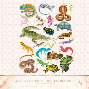 Op de afbeelding: Een verzameling aquarelillustraties met diverse reptielen en amfibieën, waaronder een kleurrijke kameleon, een groene krokodil, een bruine cobra, een schildpad, kikkers, slangen en hagedissen. Onderaan staat de tekst AURELIVA STUDIO | DIGITAL DESIGN.